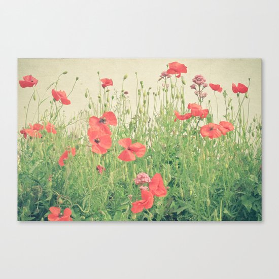 Sea of Red Canvas Print