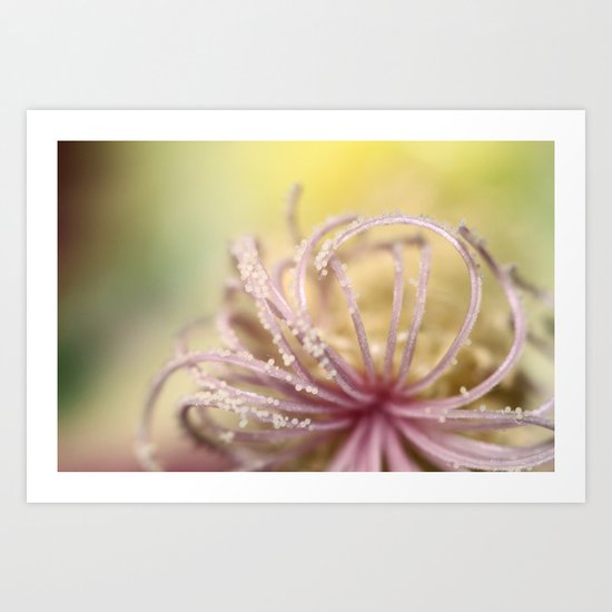 Pearly Curls Art Print