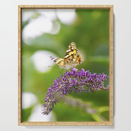 Vanessa cardui - Painted Lady Butterfly Serving Tray