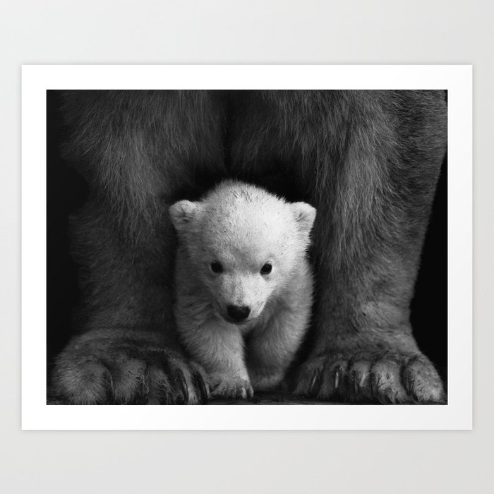 Cute Baby Polar Bear Society6 Decor Buyart Art Print By Thankyou