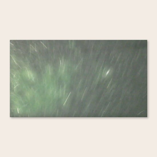 Dust Canvas Print