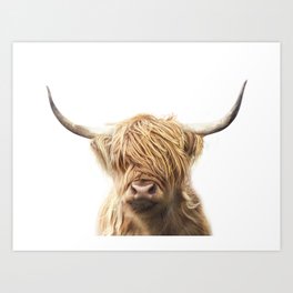 Shaggy Highland Cow Art Print