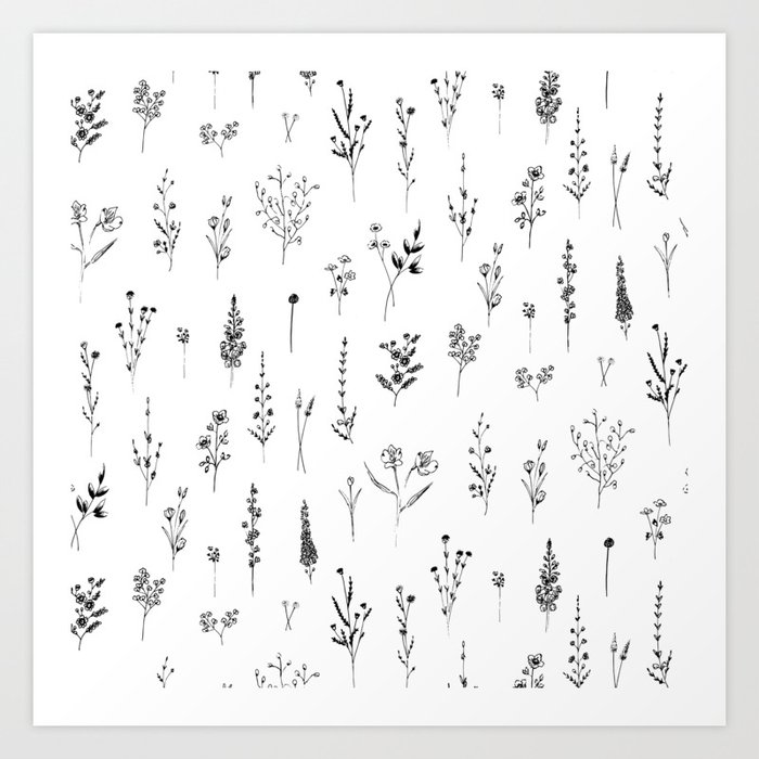 Wildflowers Kunstdrucke Wildflowers Kunstdrucke