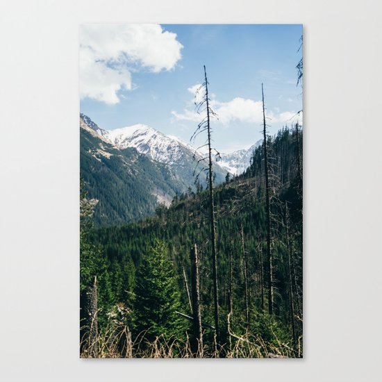 Mountains and Forest Landscape Canvas Print