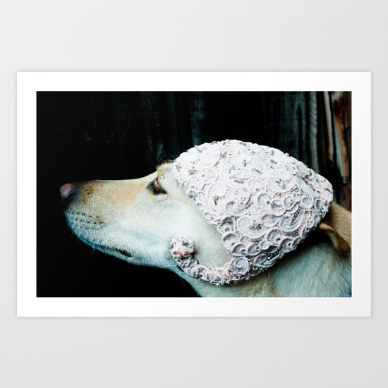 We're Not in Kansas Anymore Art Print