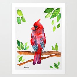 Cardinal Watercolor Bird Art Print