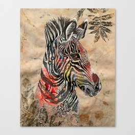 Beautiful Zebra Canvas Print