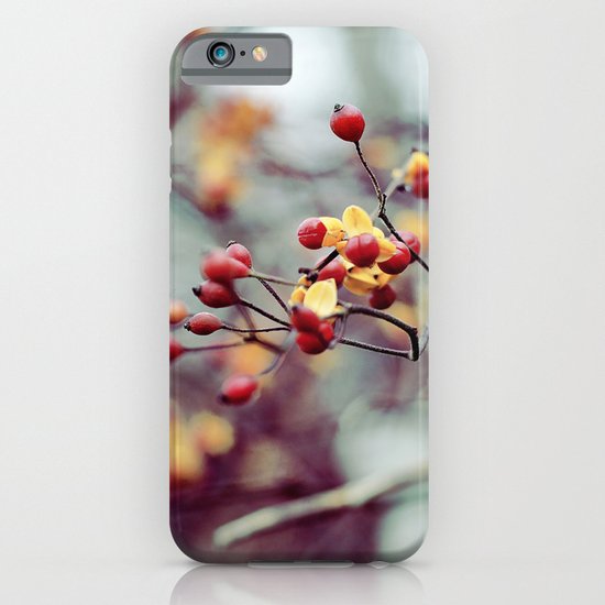 Frozen Fruit iPhone & iPod Case