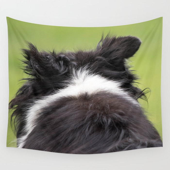 Rudy ~ Border Collie Wall Tapestry