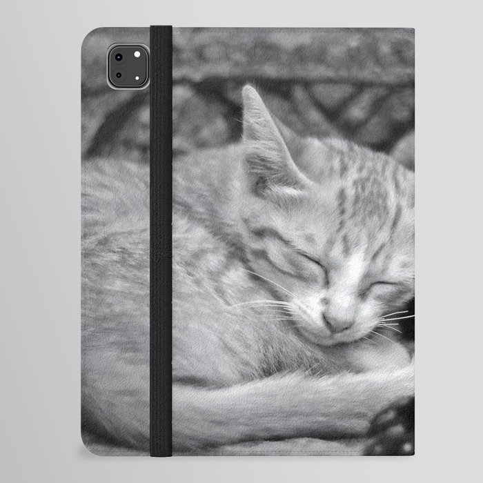 Cute Cat Lovers Hugging Sleeping Photography Gift iPad Folio Case