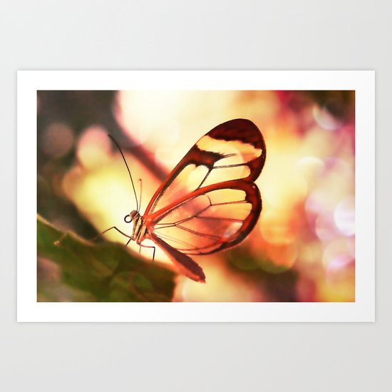 Butterfly 01 Art Print