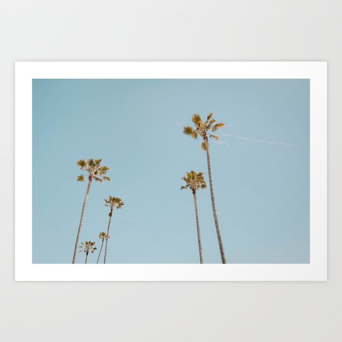palm trees xxii / san diego, california Art Print