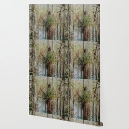 Amazed Wallpaper For Any Decor Style Society6