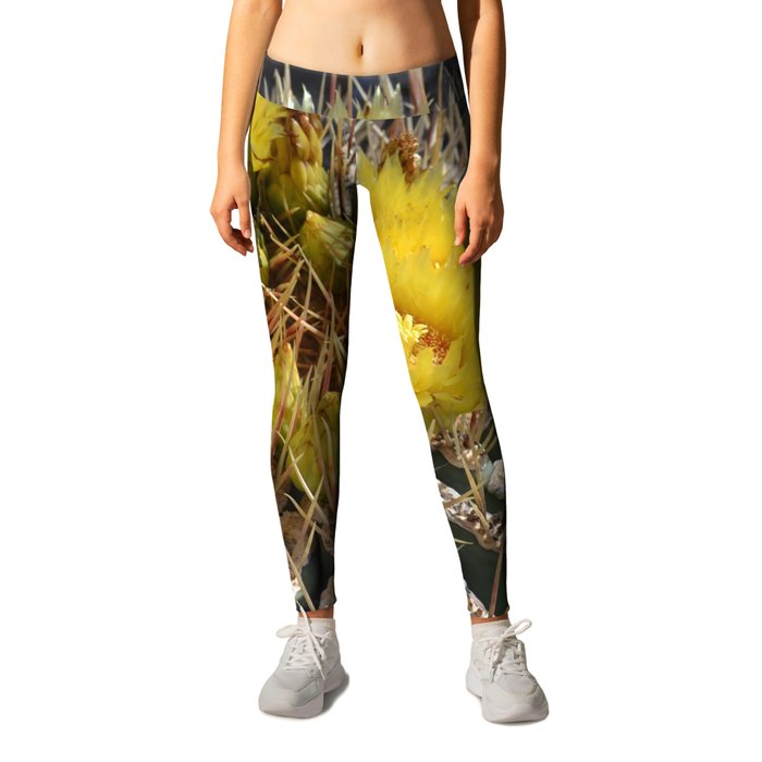 Mexico Photography - Beautiful Barrel Cactus Up-Close Leggings