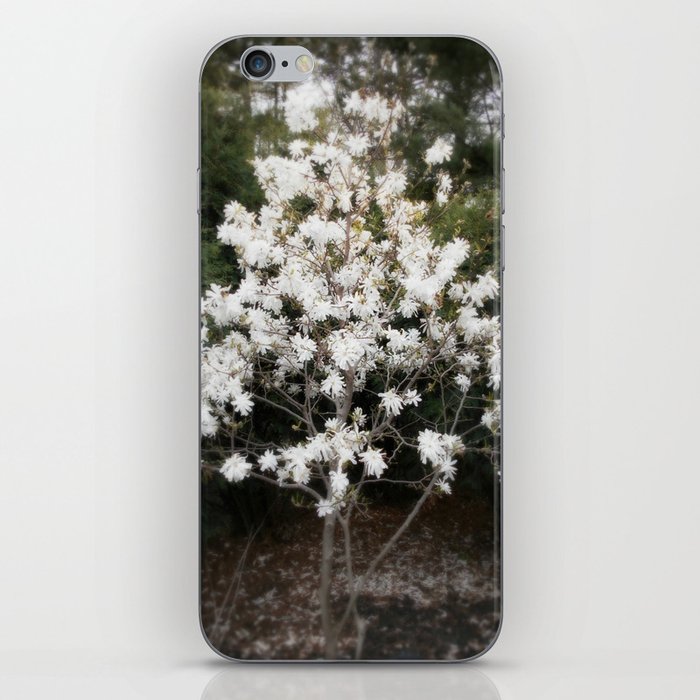 The White Tree iPhone Skin