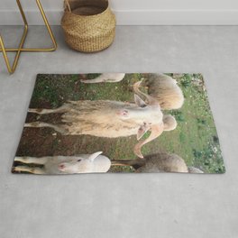 A Flock Of Sheep In A Rural Setting Rug | Photo, Animal, Nature 