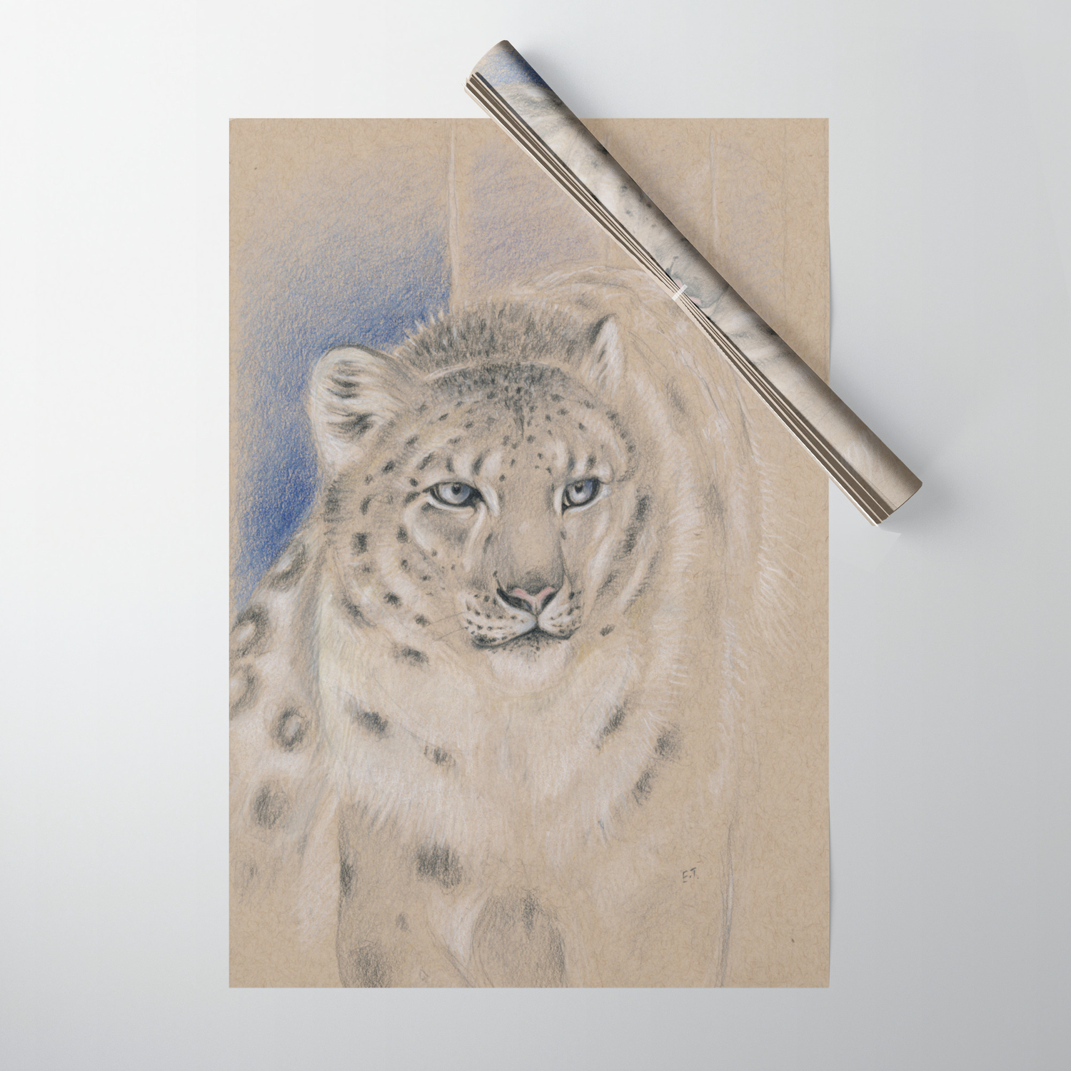 Snow Leopard Ghost Graphite Colored Pencil Drawing Wrapping Paper