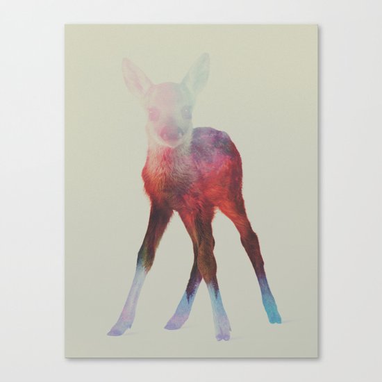 Deer Fawn Canvas Print
