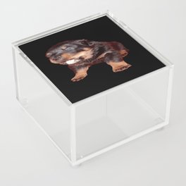 Rottweiler Puppy with Shocked Open Mouth Expression  Acrylic Box
