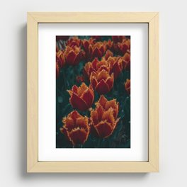 Fuzzy Tulips Recessed Framed Print
