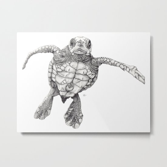 Chelonioidea (the turtle) Metal Print