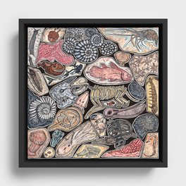 Fossils for history, dinosaur and archaeology lovers Framed Canvas