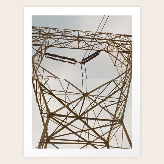 Field Study Art Print