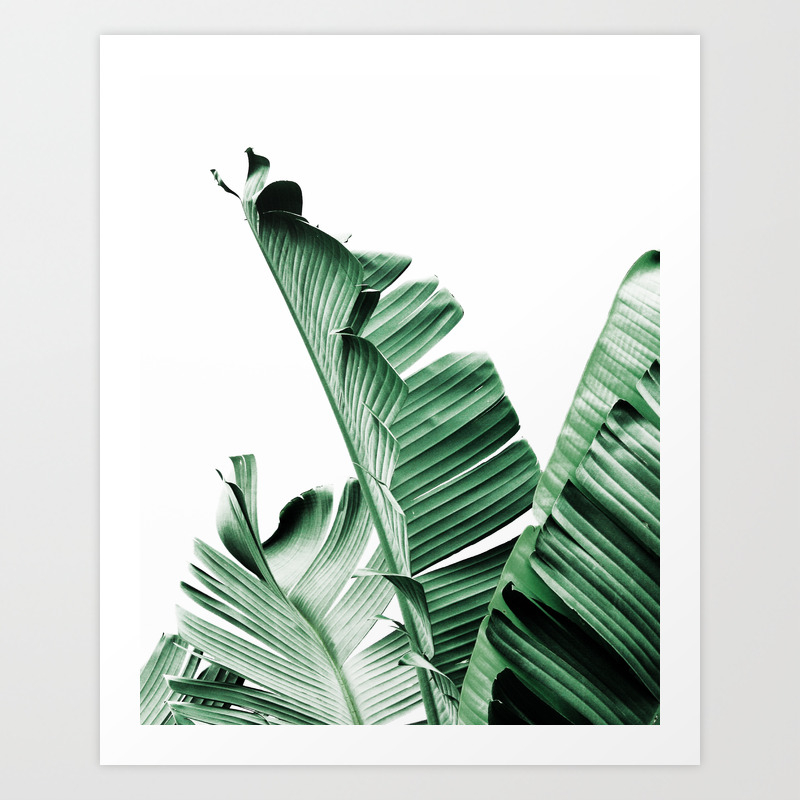 Banana Leaf Plant Green Minimal Trendy Decor Interior Wall