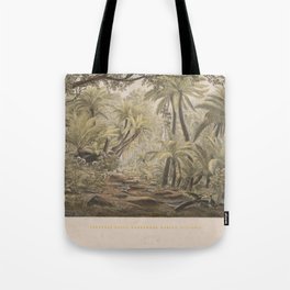 Ferntree Gully, Dandenong Ranges, Victoria by Eu von Guerard Date 1867  Romanticism Series Australia Tote Bag