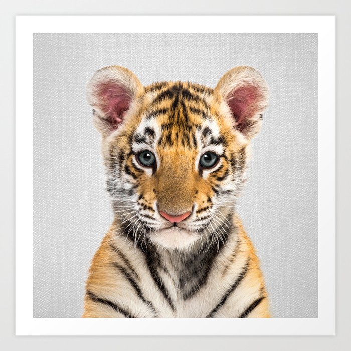 Baby Tiger 2 - Colorful Art Print