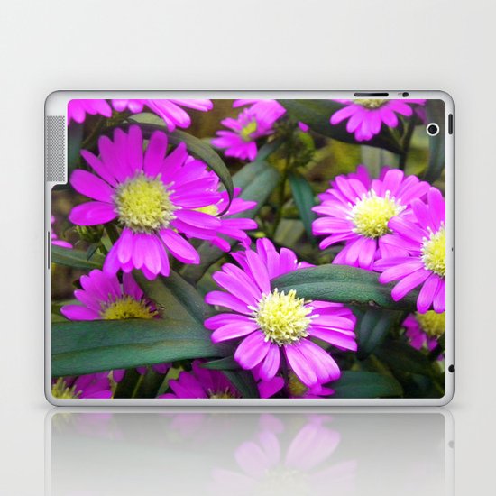 Fuchsia Daisy Flowers Laptop & iPad Skin