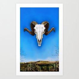 Dartmoor Sheep Skull Art Print