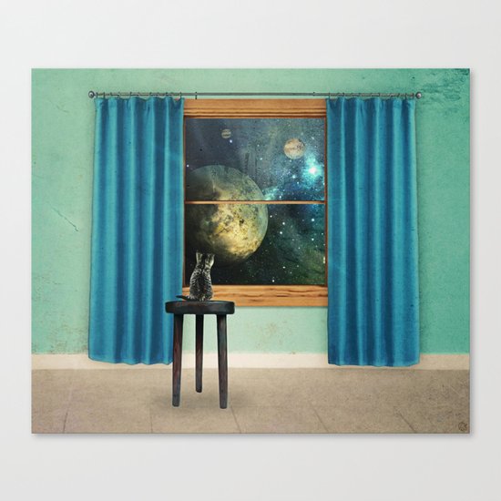A cat looking outside Canvas Print