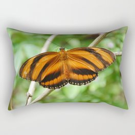 Mexico Photography - Beautiful Orange Butterfly With Black Stripes Rectangular Pillow