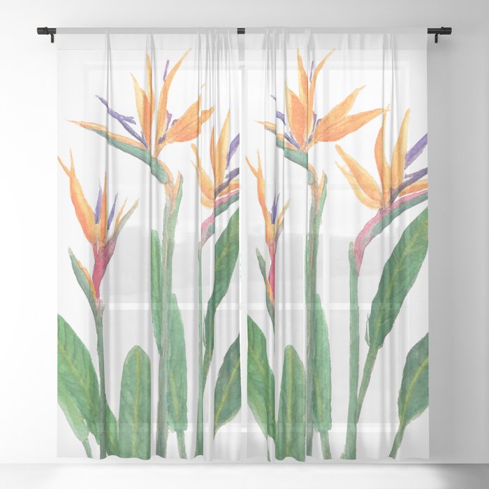 Sheer Curtain