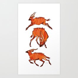 Bongo Antelope Art Print