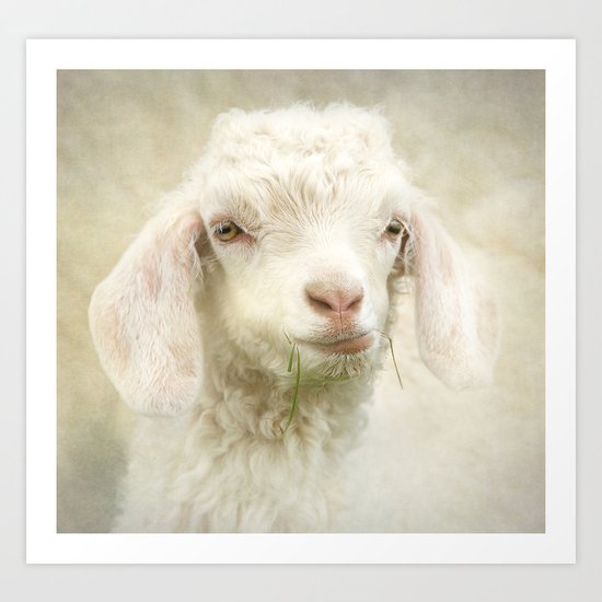 The Tough Guy Art Print