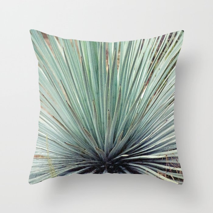 Agave Plant Throw Pillow