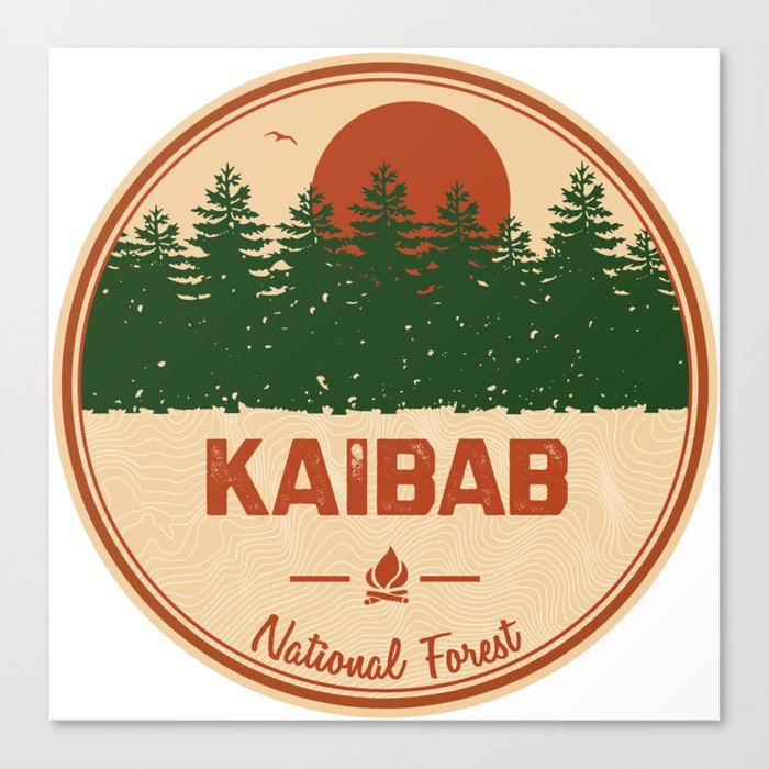 Kaibab National Forest Canvas Print