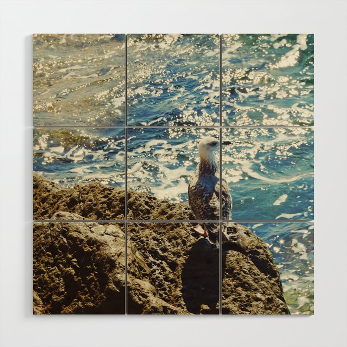 Seagull and Sea Photo | Amalfi Coast Nature | Italy Summer Travel Photography Wood Wall Art