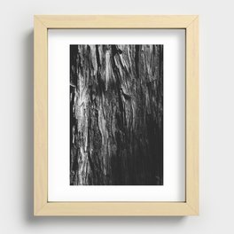 the redwood sleeps beneath the shade (b/w version) Recessed Framed Print