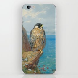 Peregrine at Auchencairn by Archibald Thorburn, 1923 (benefitting The Nature Conservancy) iPhone Skin