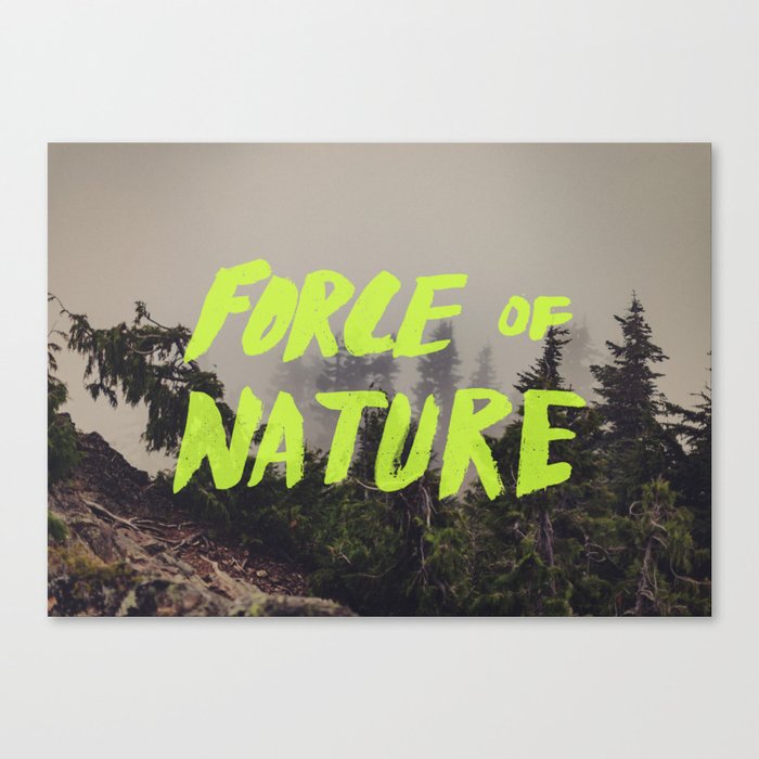Force of Nature x Cloud Forest Canvas Print