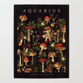 AQUARIUS II Poster