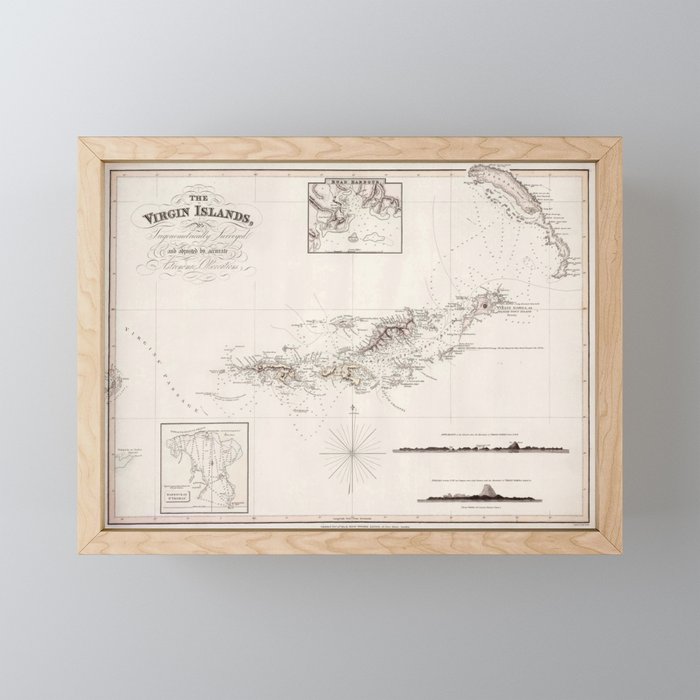 Framed Mini Art Print