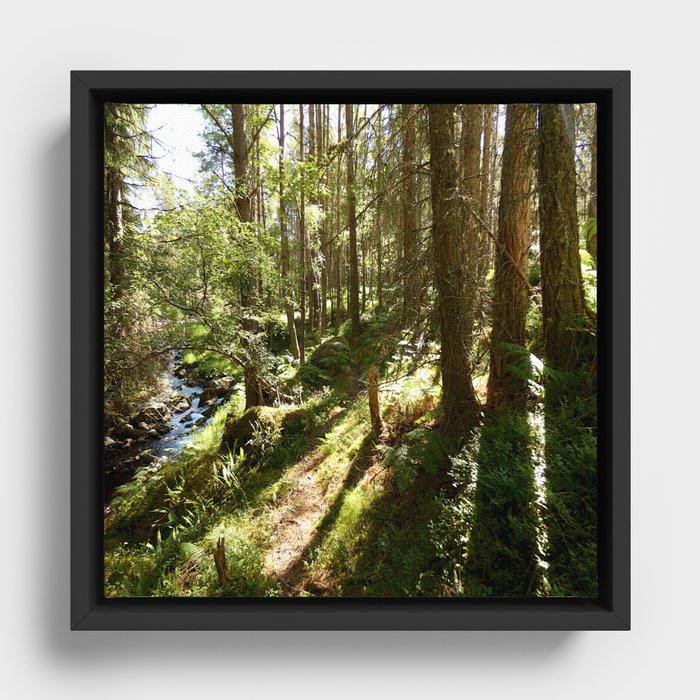 Playing in the Woods Framed Canvas