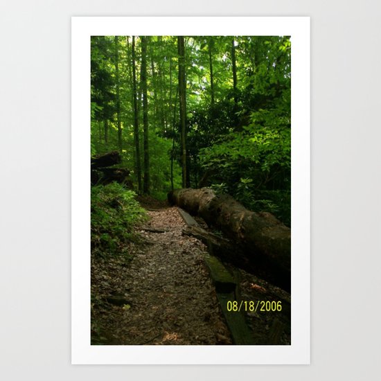 a walk in the woods Art Print
