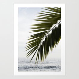 Beach Palm Art Print