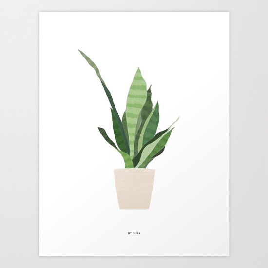 Sansevieria Art Print