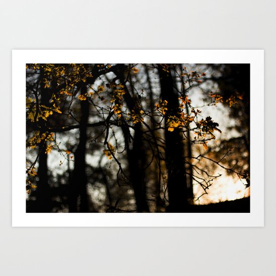 trees copper Art Print